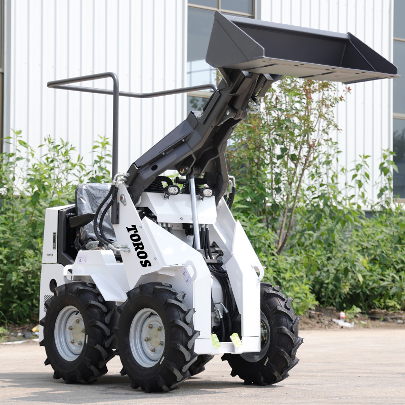 Mejor Precio y Buen Estado: Mi - Skid Steer Loader reseña y precio